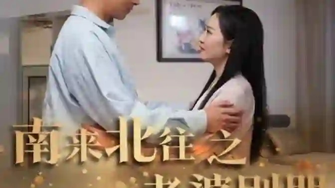 南来北往之老婆别哭